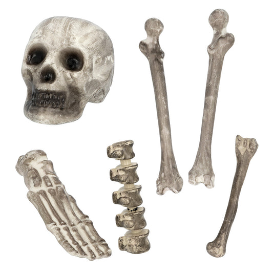 Set 6 Tête de mort & os